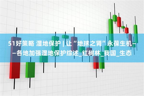 51好策略 湿地保护 | 让“地球之肾”永葆生机——各地加强湿地保护综述_红树林_我国_生态